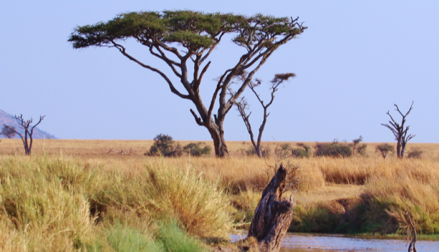 Tanzania