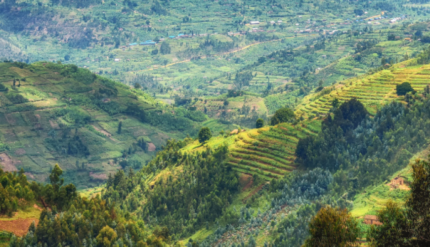 Rwanda