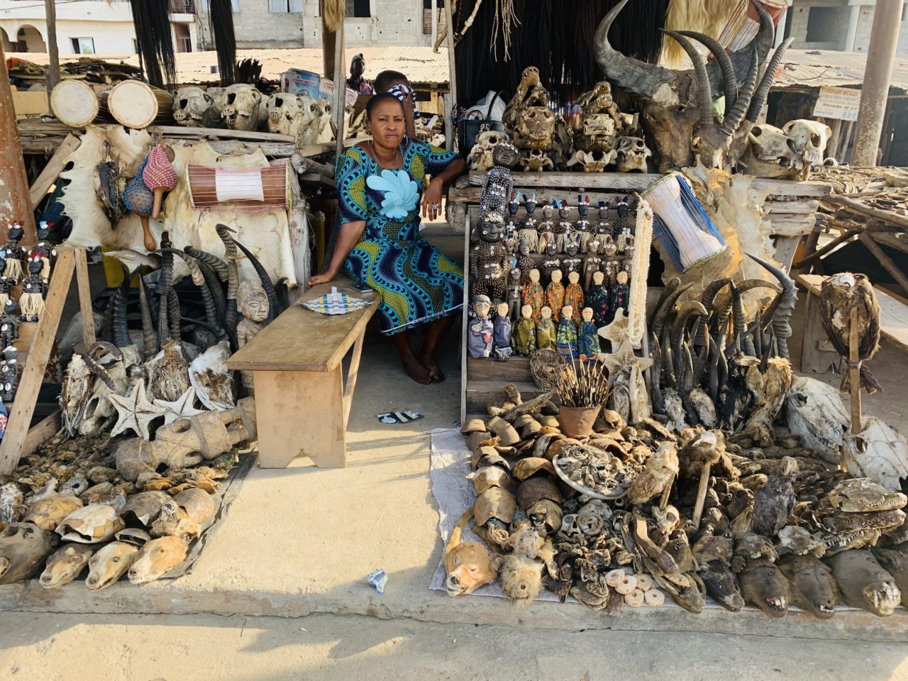 Togo’s Akodessawa Fetish Market: Exploring the Unique World of African Traditional Medicine