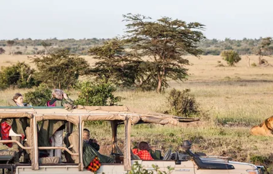 KENYA’S BIG 5 & WALKING SAFARI