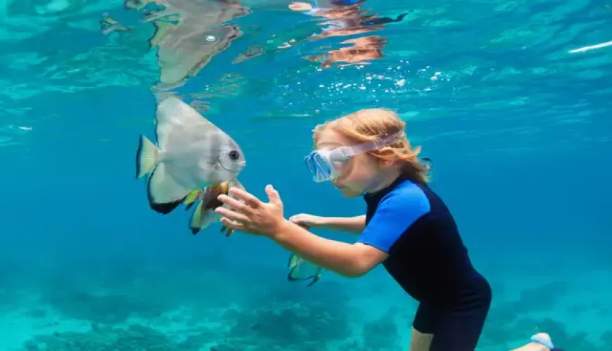 Discovering the Pristine Waters of Seychelles: A Guide to Snorkeling and Diving in Paradise