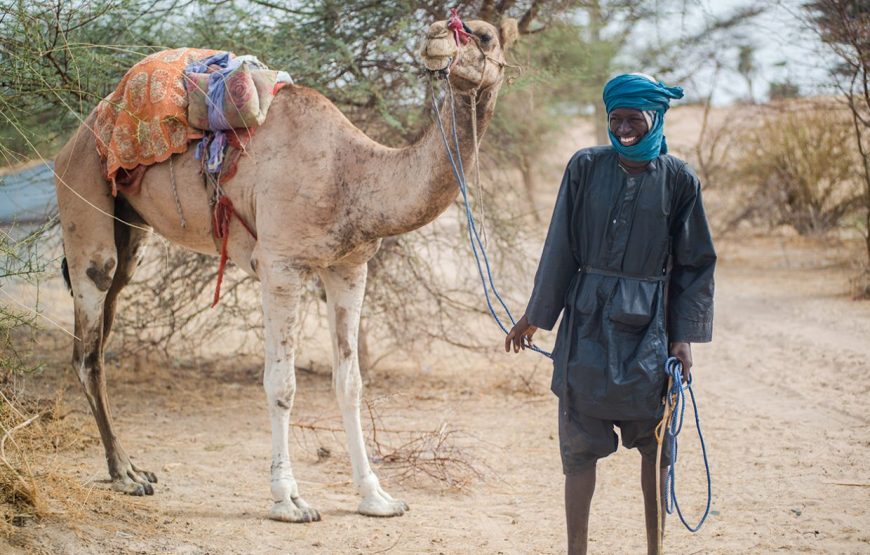 Essential Senegal