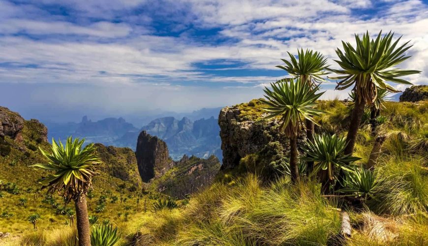 Exploring the Natural Wonders of Ethiopia