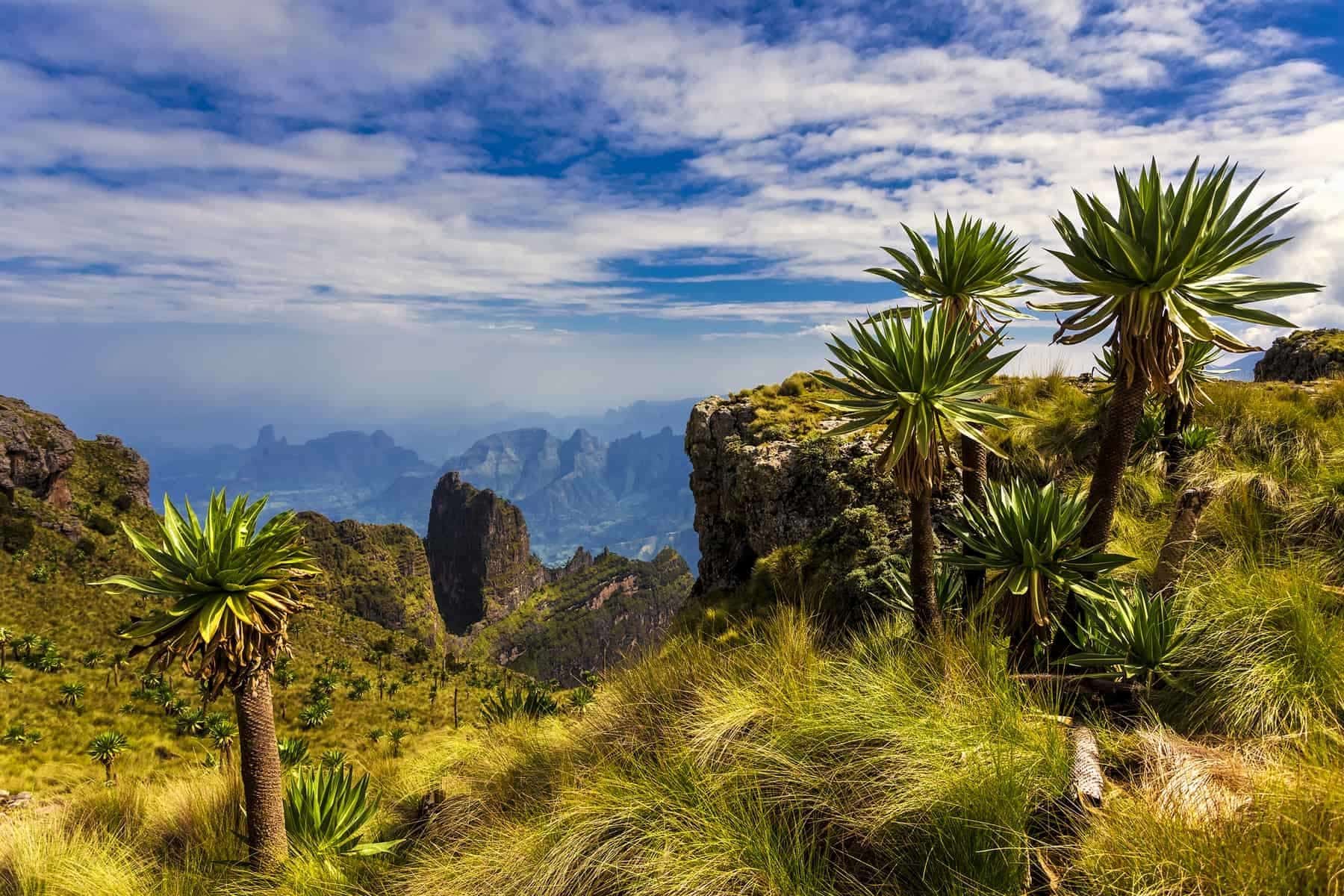 Exploring the Natural Wonders of Ethiopia