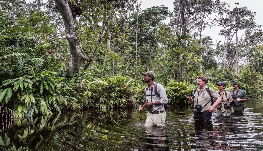 Exploring Gabon’s National Parks