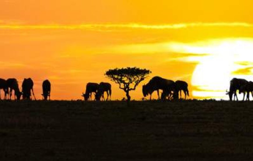 6-Day Tanzania Classic Luxury Safari