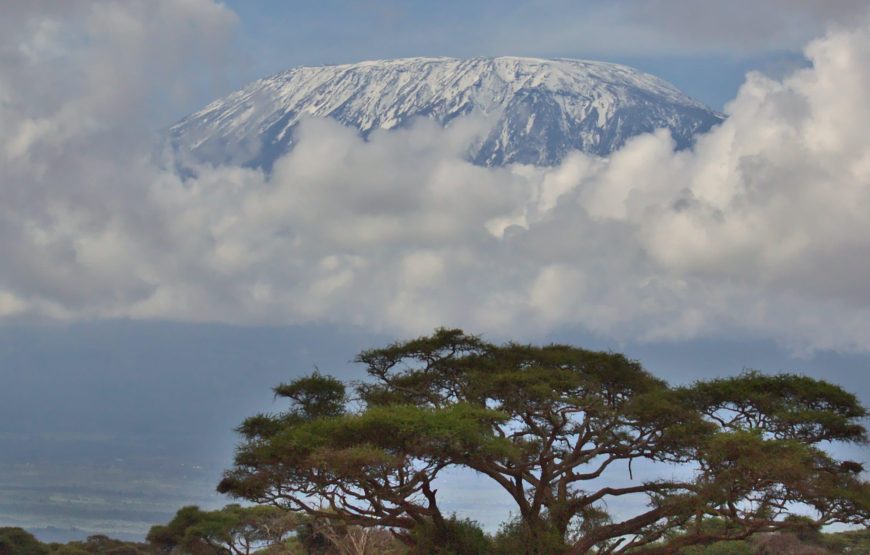 5-Day Kilimanjaro Adventure via Marangu Route