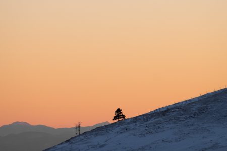 5-Day Kilimanjaro Adventure via Marangu Route