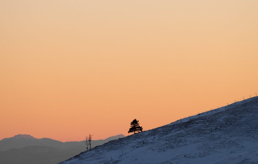 5-Day Kilimanjaro Adventure via Marangu Route